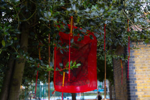 img 7812